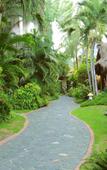 Туры в отель Riverside Bamboo Resort Туры в отель Riverside Bamboo Resort
