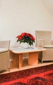 Туры в отель Hotel Loehr Туры в отель Hotel Loehr