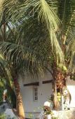 Туры в отель Sugar Plum Macedo Palms Туры в отель Sugar Plum Macedo Palms