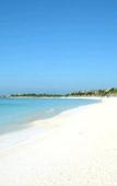 Туры в отель Akumal Beach Resort Туры в отель Akumal Beach Resort