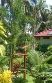 Туры в отель Good Karma Hotel Туры в отель Good Karma Hotel