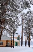 Туры в отель Карагай Туры в отель Карагай