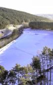 Туры в отель Карагай Туры в отель Карагай