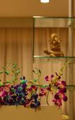 Туры в отель Souchada Resort & Spa Туры в отель Souchada Resort & Spa