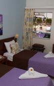 Туры в отель Philoxenia Hotel Malia Туры в отель Philoxenia Hotel Malia