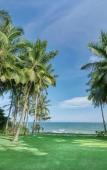 Туры в отель The Westin Sanya Haitang Bay Resort Туры в отель The Westin Sanya Haitang Bay Resort