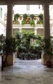 Туры в отель Le Orchidee Туры в отель Le Orchidee