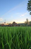 Туры в отель Alaya Resort Ubud Туры в отель Alaya Resort Ubud