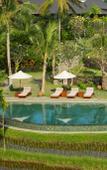 Туры в отель Alaya Resort Ubud Туры в отель Alaya Resort Ubud