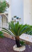 Туры в отель Rubi Platinum Spa Resort & Suites Туры в отель Rubi Platinum Spa Resort & Suites