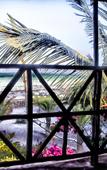 Туры в отель Palumboreef Beach Resort Туры в отель Palumboreef Beach Resort