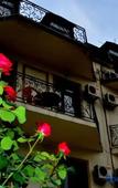 Туры в отель Hotel Rich Туры в отель Hotel Rich