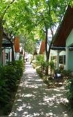 Туры в отель Chaokoh Phi Phi Hotel & Resort Туры в отель Chaokoh Phi Phi Hotel & Resort