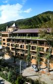 Туры в отель Borjomi Palace Туры в отель Borjomi Palace