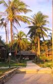 Туры в отель Moon Resort Туры в отель Moon Resort
