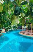Туры в отель Quality Resort & Spa Patong Beach Туры в отель Quality Resort & Spa Patong Beach
