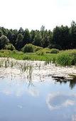 Туры в отель Русский двор Туры в отель Русский двор