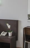 Туры в отель Costantiana Beach Hotel Apartments Туры в отель Costantiana Beach Hotel Apartments