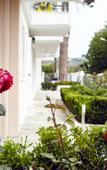 Туры в отель Skiathos Somnia Туры в отель Skiathos Somnia