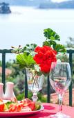 Туры в отель Hotel Tomato Туры в отель Hotel Tomato