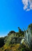 Туры в отель Leda Village Resort Туры в отель Leda Village Resort