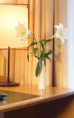 Туры в отель Victor`s Residenz - Hotel Frankenthal Туры в отель Victor`s Residenz - Hotel Frankenthal
