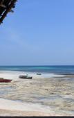 Туры в отель Chumbe Island Coral Park Туры в отель Chumbe Island Coral Park