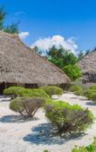 Туры в отель Hakuna Majiwe Beach Lodge Туры в отель Hakuna Majiwe Beach Lodge