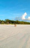 Туры в отель Hakuna Majiwe Beach Lodge Туры в отель Hakuna Majiwe Beach Lodge