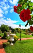 Туры в отель Therma Palace Туры в отель Therma Palace