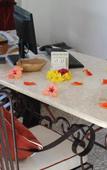 Туры в отель Cabanes Des Anges Guest House Туры в отель Cabanes Des Anges Guest House