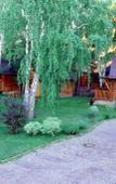 Туры в отель Crona Medical & Spa Hotel Туры в отель Crona Medical & Spa Hotel