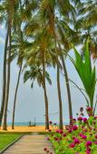 Туры в отель Amagi Beach Туры в отель Amagi Beach
