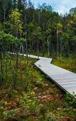Туры в отель TonyResort Туры в отель TonyResort
