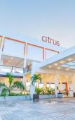 Туры в отель Citrus Waskaduwa Туры в отель Citrus Waskaduwa