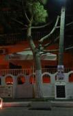 Туры в отель Lefkothea Hotel Туры в отель Lefkothea Hotel
