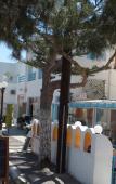 Туры в отель Lefkothea Hotel Туры в отель Lefkothea Hotel
