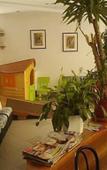Туры в отель Hotel Ciao Туры в отель Hotel Ciao