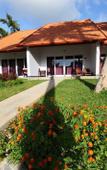 Туры в отель Terrace Resort Туры в отель Terrace Resort