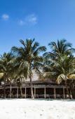 Туры в отель Nakai Dhiggiri Resort Туры в отель Nakai Dhiggiri Resort