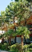 Туры в отель Dreamland Oasis in Chakvi Туры в отель Dreamland Oasis in Chakvi