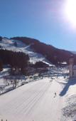 Туры в отель Wetterstein Туры в отель Wetterstein