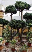 Туры в отель Курорт Увильды Туры в отель Курорт Увильды
