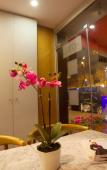 Туры в отель Istanbul Box Boutique Hotel Туры в отель Istanbul Box Boutique Hotel