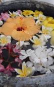 Туры в отель Chantauvent Guesthouse Туры в отель Chantauvent Guesthouse