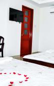 Туры в отель Thien Thanh Cerulean Hotel Туры в отель Thien Thanh Cerulean Hotel