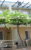 Туры в отель Apartments Milica Туры в отель Apartments Milica