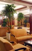 Туры в отель Modern Hotel Туры в отель Modern Hotel