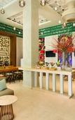 Туры в отель Hyatt Zilara Rose Hall Туры в отель Hyatt Zilara Rose Hall