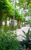Туры в отель Lime N Soda Beachfront Resort Туры в отель Lime N Soda Beachfront Resort